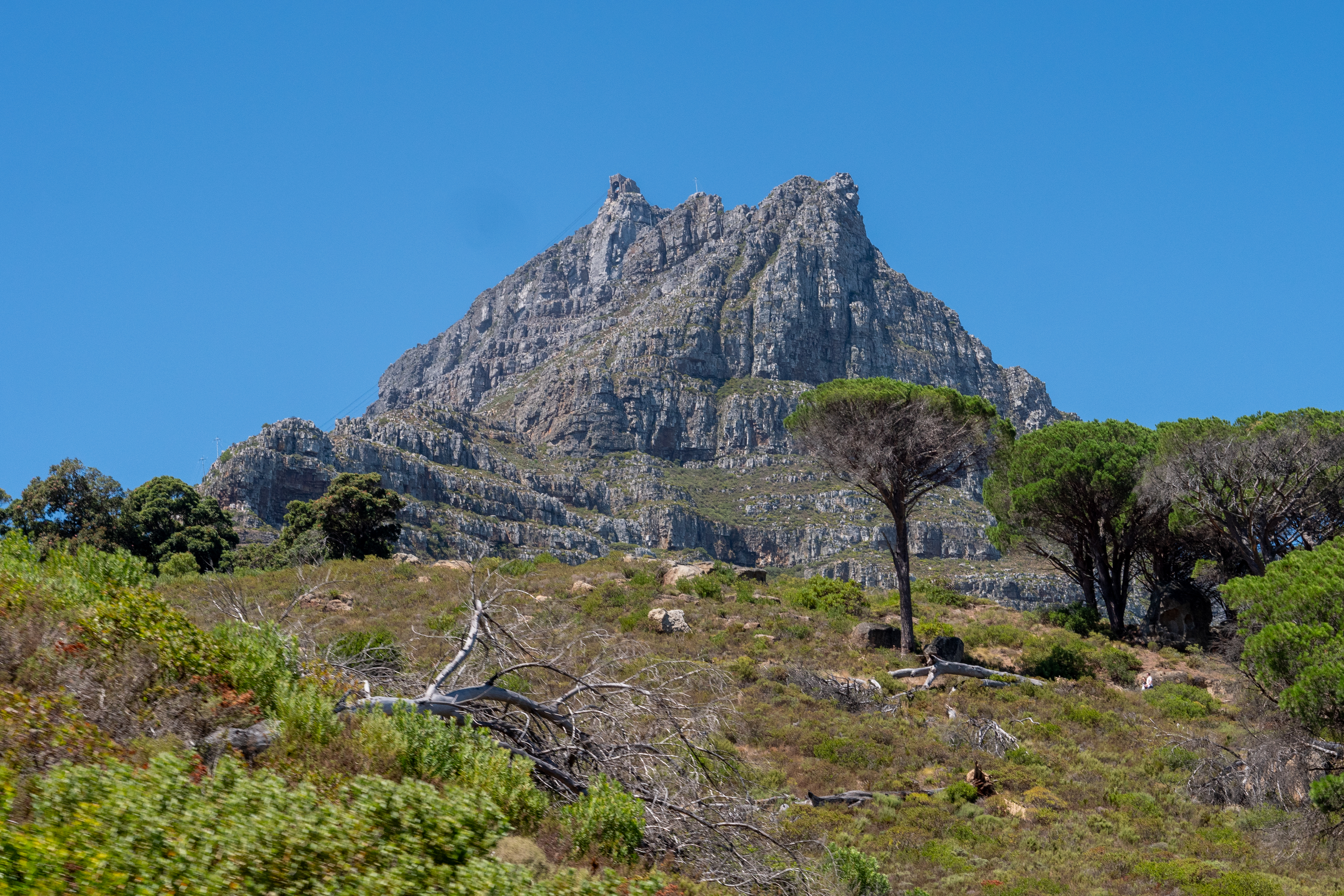 Blick auf den Tafelberg